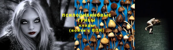 амф Арсеньев