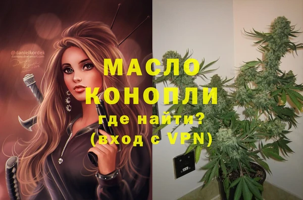дмт Армянск