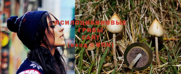 дмт Армянск