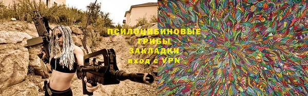 амф Арсеньев