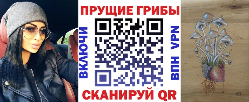 Псилоцибиновые грибы Magic Shrooms  МЕГА ONION  Ртищево 